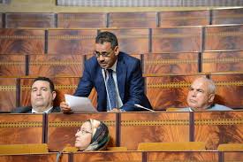 الاتحاد الاشتراكي يطالب بكشف حقيقة أرقام إحصاء الإبل في الأقاليم الجنوبية