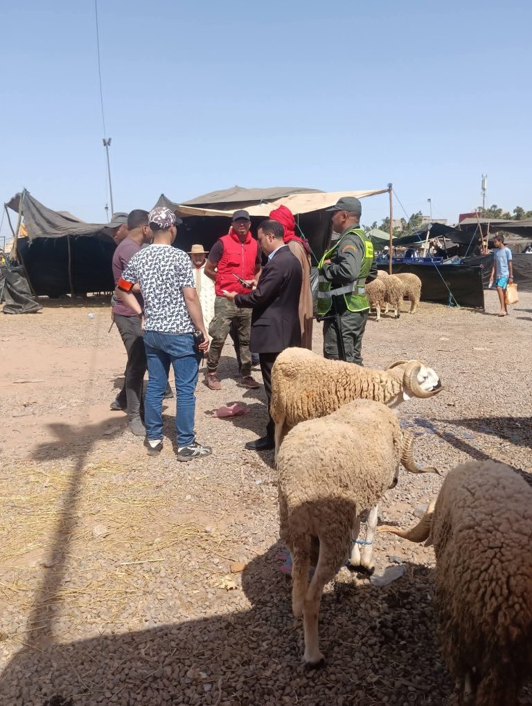 حملة ميدانية صارمة برحبة تراست بإنزكان لمحاربة المضاربة وحماية القدرة الشرائية للمواطنين.