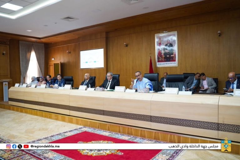 مجلس جهة الداخلة وادي الذهب يختتم أعمال دورته العادية برسم شهر يوليو 2026