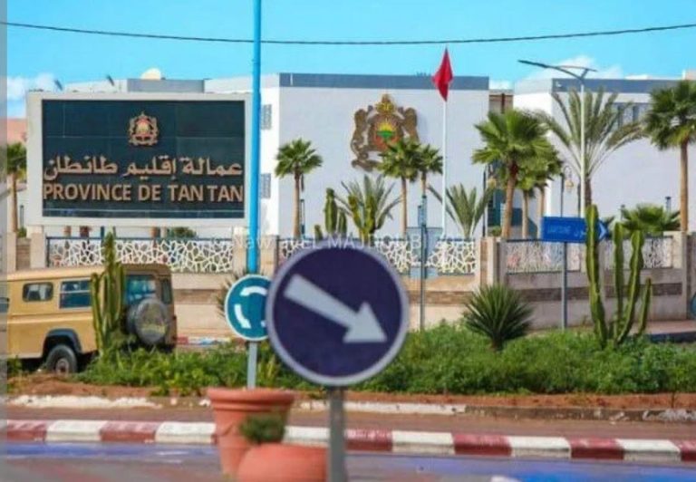 انتخابات 2026.. 15,801,162 عدد المسجلين في اللوائح الانتخابية