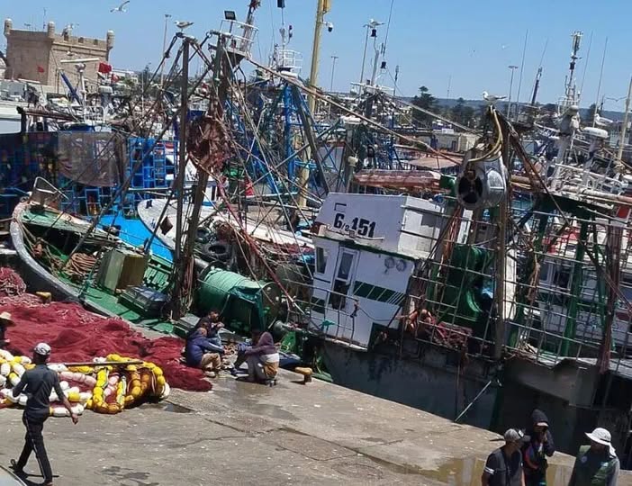ميناء الصويرة.. ارتفاع مفرغات الصيد بـ63% وتراجع قيمتها التجارية بـ20%